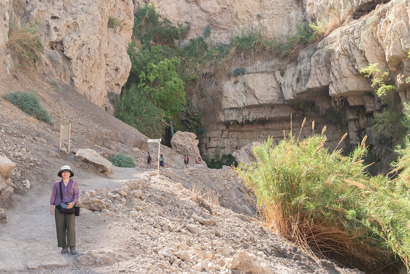 Ein Gedi Nature Reserve. Wadi David near David's Waterfall. Kibbutz Ein Gedi. .