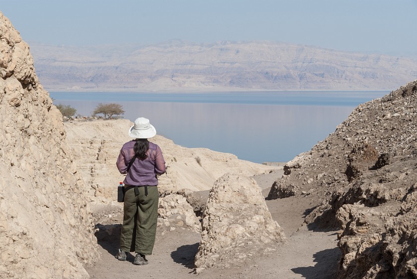 Ein Gedi Nature Reserve. Wadi David. Kibbutz Ein Gedi. .