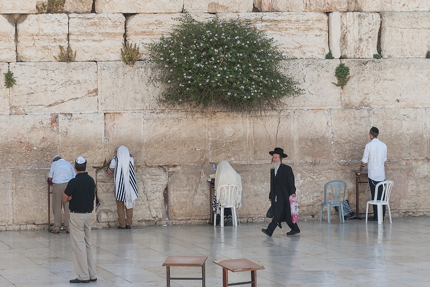 Western Wall. Men section. Jerusalem. .