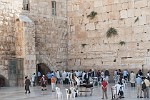 ISR206