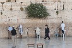 ISR208