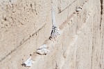 ISR216