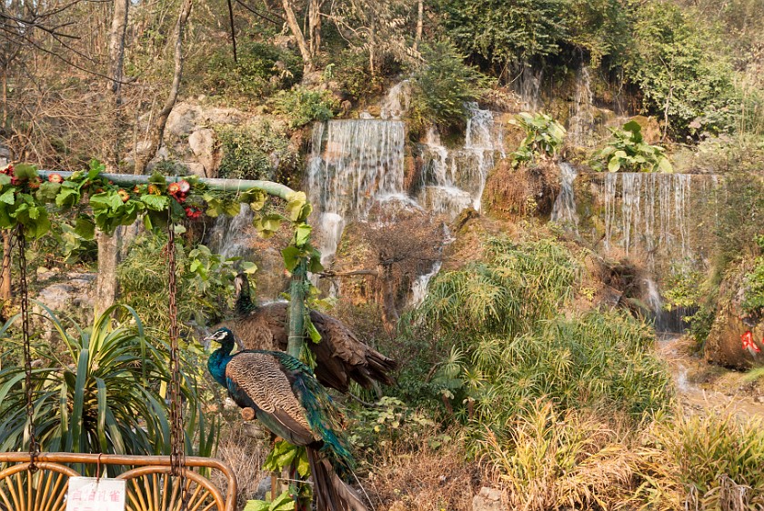 Seven Star Park. Water fall and peacocks. Guìlín. .