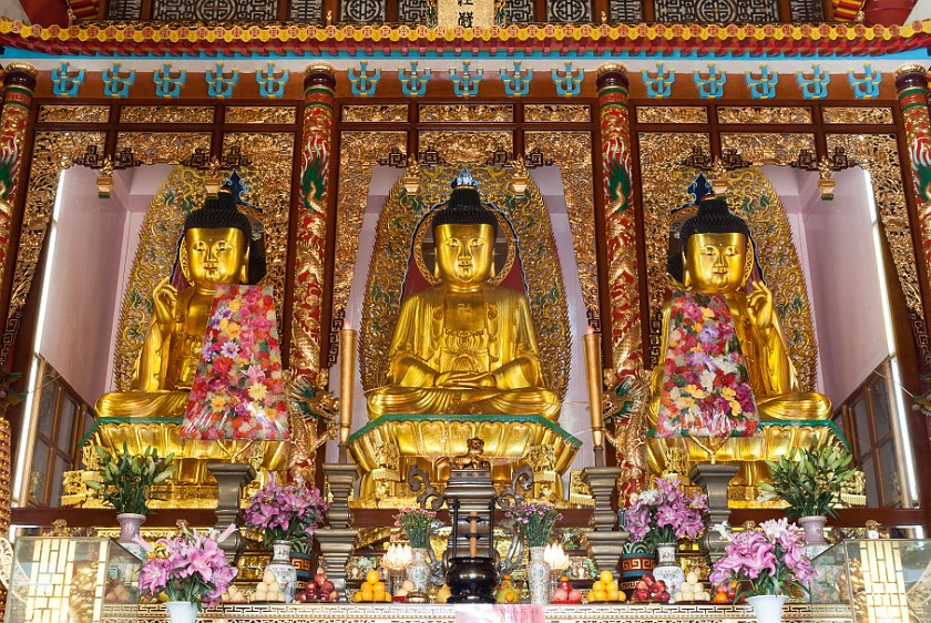 Bamboo Forest Monastery. Buddhas. Hong Kong. .