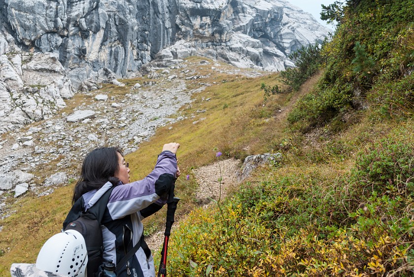 Hike to the Schachenhaus. Wettersteinalm. near Garmisch-Partenkirchen. .
