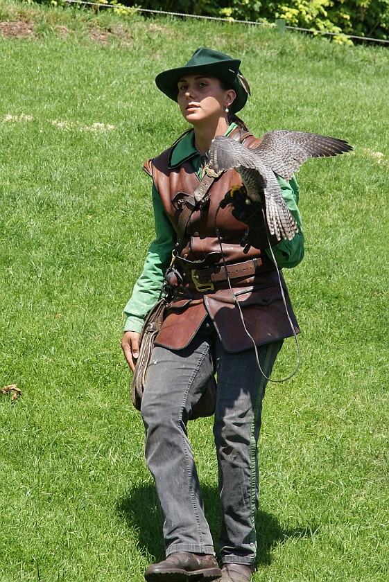 Hohenwerfen Fortress. Falconer. Werfen. .