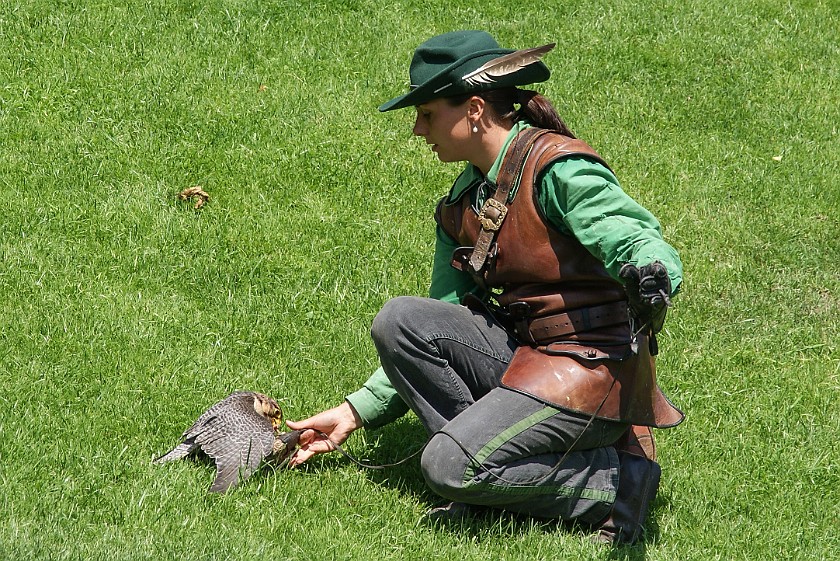 Hohenwerfen Fortress. Falconer. Werfen. .