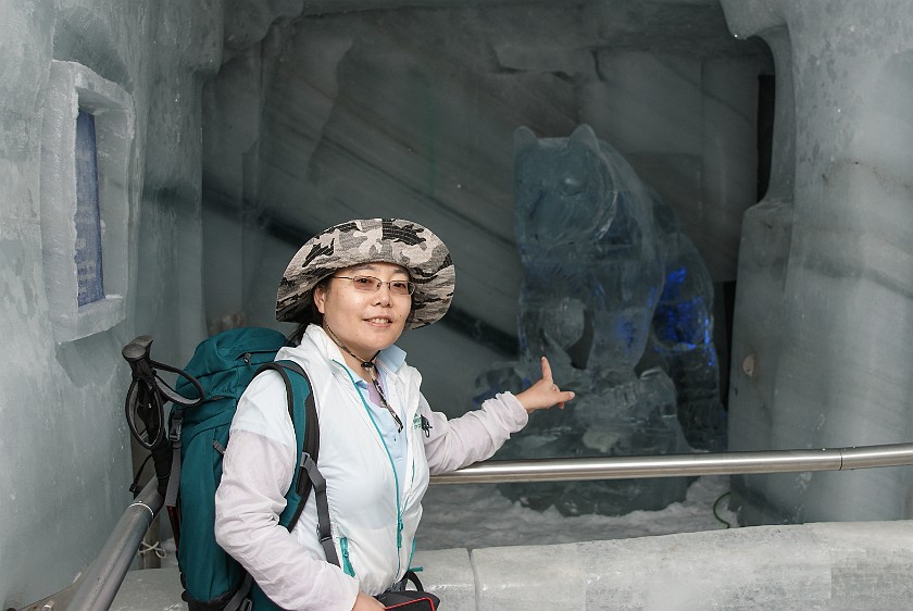 Dachstein. Bear ice carving inside the glacier. Ramsau am Dachstein. .