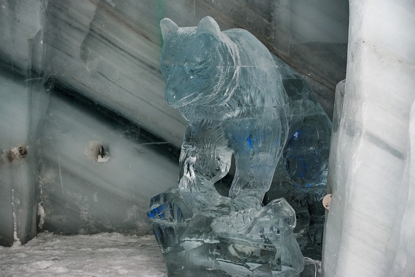 Dachstein. Bear ice carving inside the glacier. Ramsau am Dachstein. .