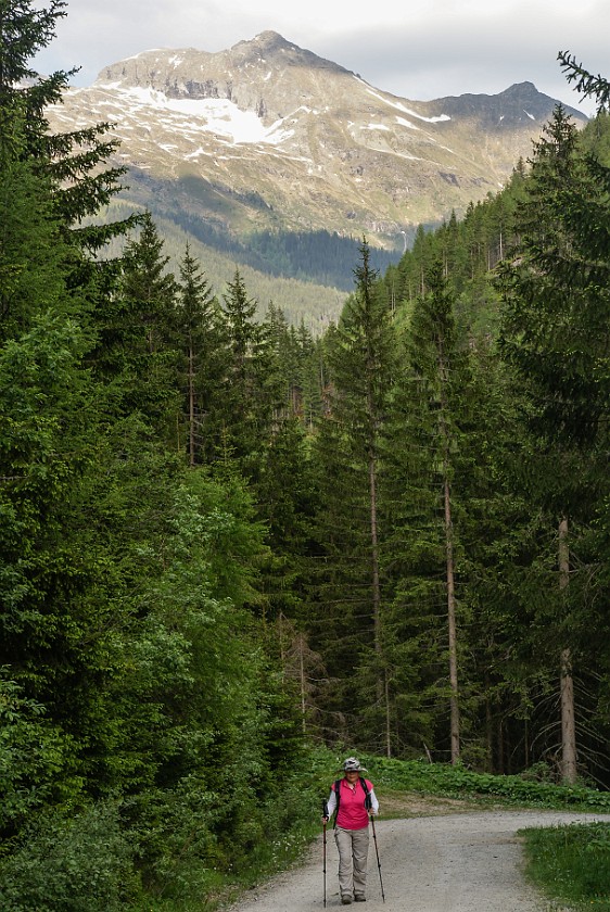 Alpine Path Durch die Höll. Forest path. Ramsau am Dachstein. .