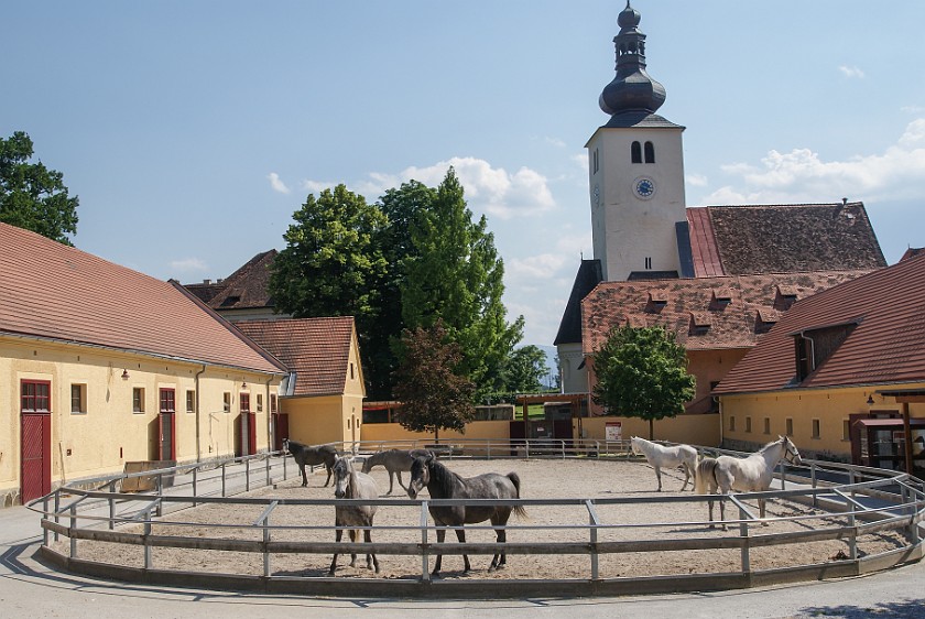 Federal Stud Piber. Main building. Köflach. .