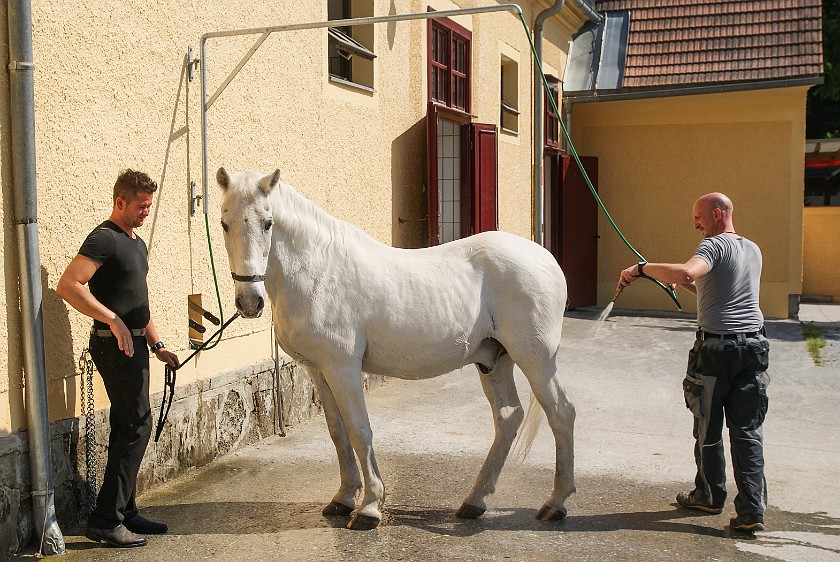 Federal Stud Piber. Main building. Köflach. .