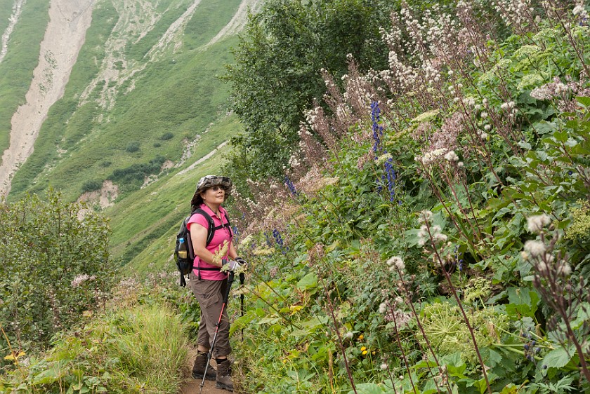 Hike to the Rappenseehütte. Mountain flowers. Oberstdorf. .