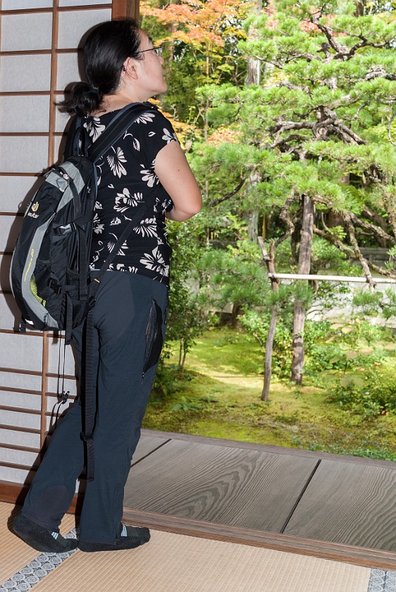 Daitoku-Ji. View from patio to garden. Kyoto. .