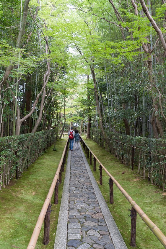 Daitoku-Ji. Wandering lane. Kyoto. .