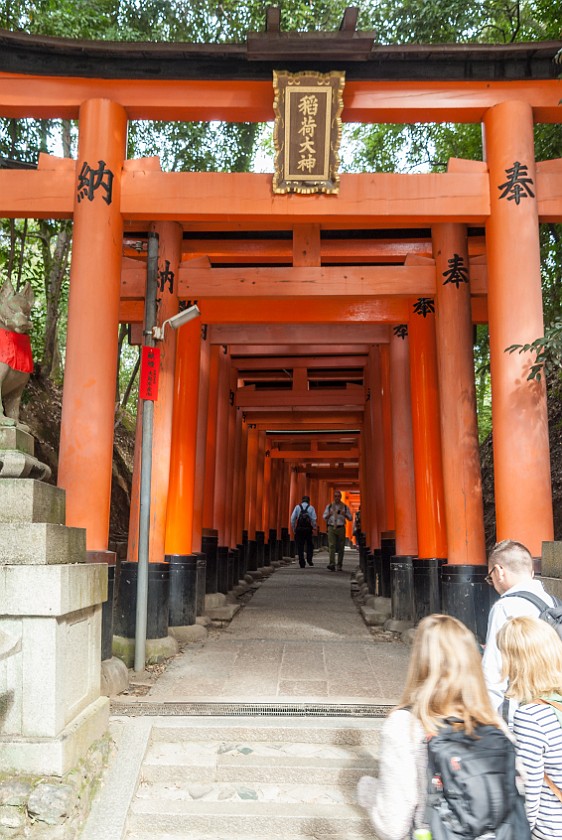 Fushimi Inari-Taisha. Torii pathway. Kyoto. .