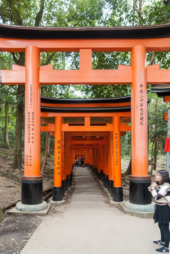Fushimi Inari-Taisha. Torii pathway. Kyoto. .