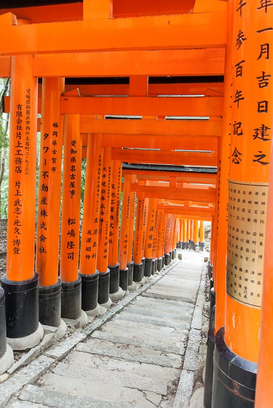 Fushimi Inari-Taisha. Torii pathway. Kyoto. .