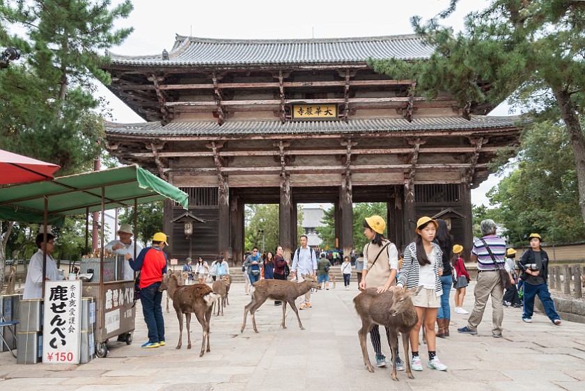 Nara. Nandai-mon. Nara. .