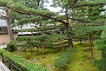 KYO011