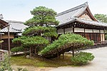 KYO023