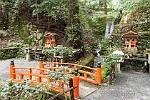 KYO049