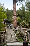 KYO051