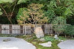 KYO061