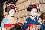 KYO066