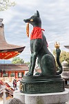 KYO079