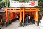 KYO080
