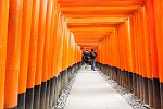 KYO082