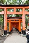 KYO083
