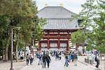 KYO089