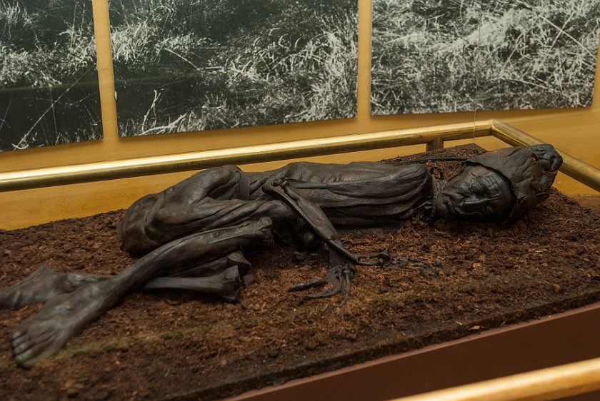 Silkeborg Museum. Tollund man. Silkeborg. .