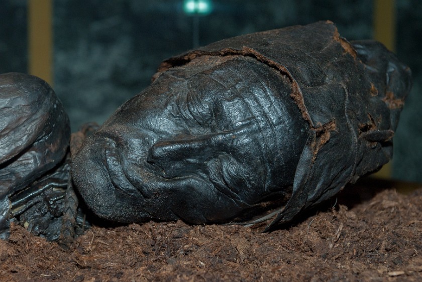 Silkeborg Museum. Tollund man. Silkeborg. .