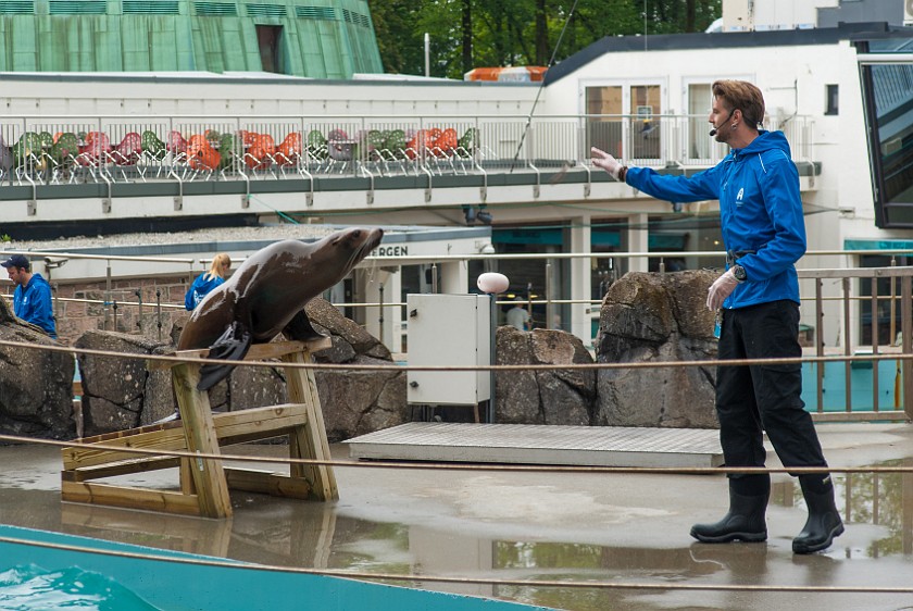 Bergen. Bergen aquarium. Bergen. .