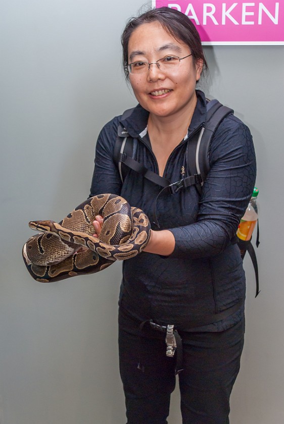 Bjørneparken. Portrait with snake. Flå. .