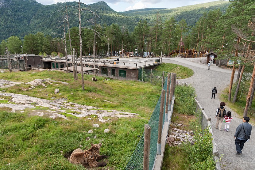 Bjørneparken. Bear enclosure. Flå. .
