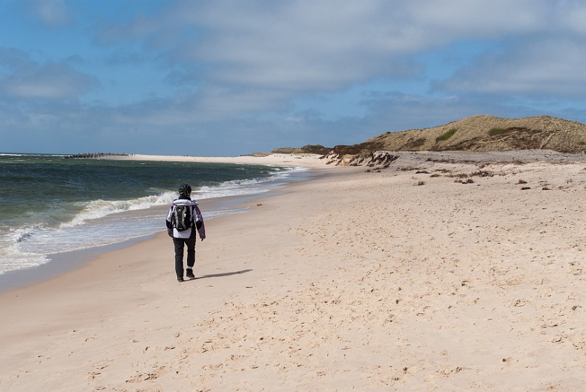 Southern Sylt. Hörnum Odde. Hörnum. .