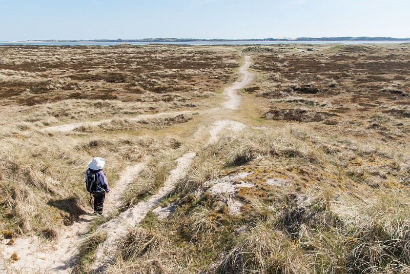 Northern Sylt. Dunes landscape. List. .