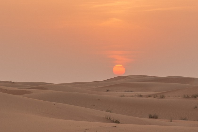 Dubai Desert Safari. Sunset in the desert. Dubai. .