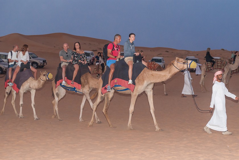 Dubai Desert Safari. Camel ride. Dubai. .