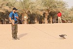 DUB049