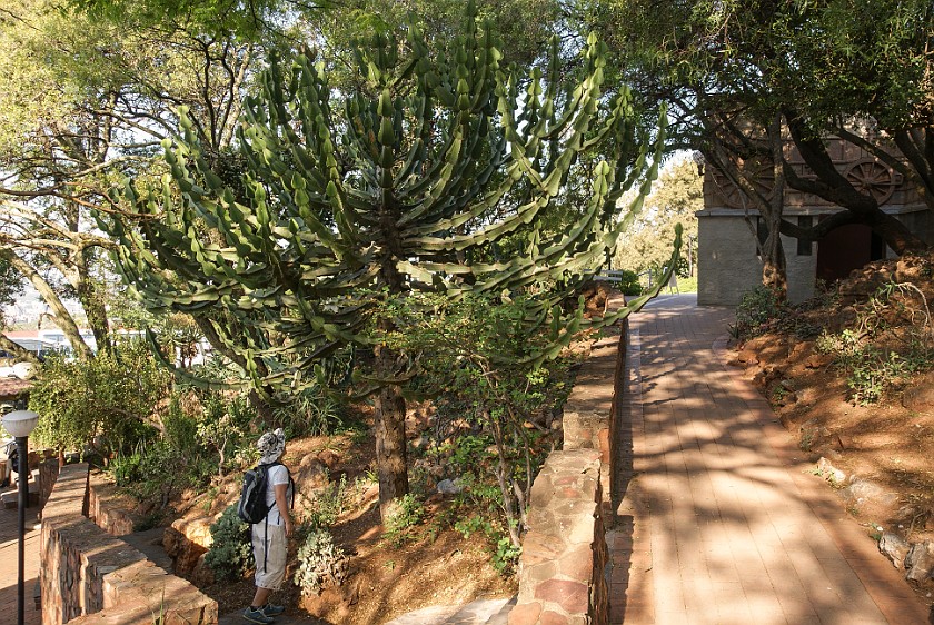 Voortrekker Monument. Garden. Pretoria. .