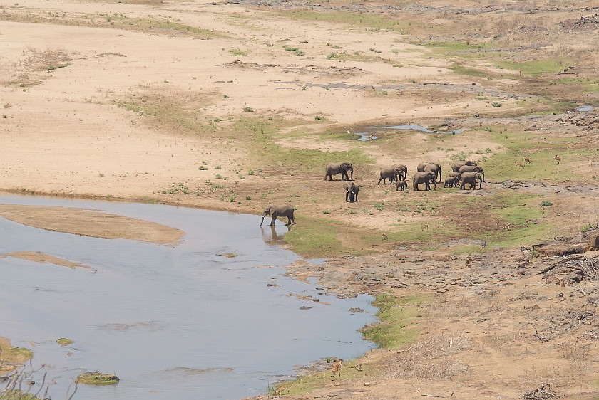 Kruger National Park. View on Olifants river from the bungalow. Olifants Rest Camp. .