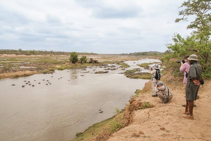 Kruger National Park. Walk at the Olifants river. Olifants Rest Camp. .