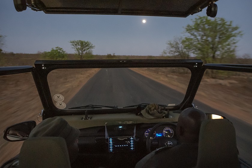 Kruger National Park. Night drive in a safari truck. Olifants Rest Camp. .