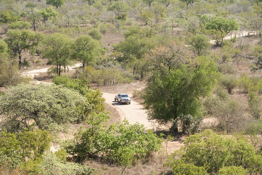 Kruger National Park. Mathekenyane viewpoint. Skukuza. .