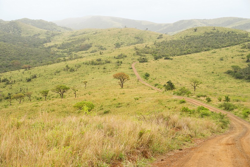 Hluhluwe-Imfolozi Game Reserve. Bush road. Hluhluwe. .